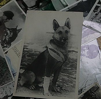 Исторические фотографии