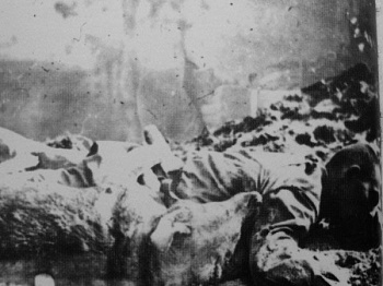 Исторические фотографии