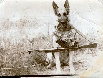 Исторические фотографии
